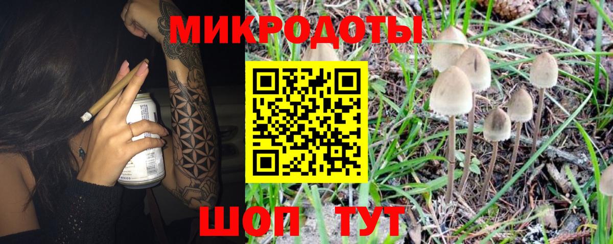 Галлюциногенные грибы Psilocybine cubensis Изобильный