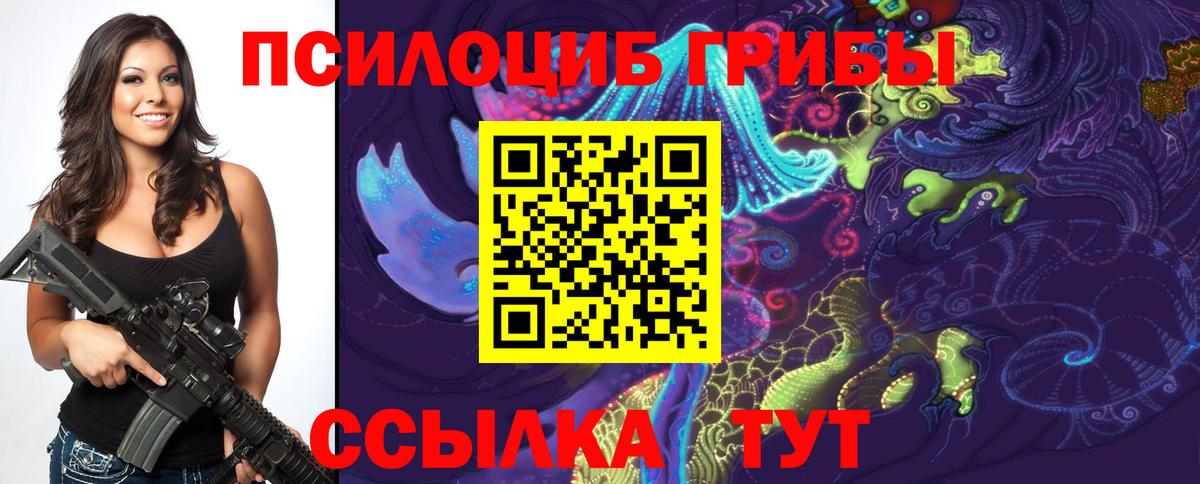 Изобильный  Псилоцибиновые грибы Psilocybine cubensis  Вход с VPN 